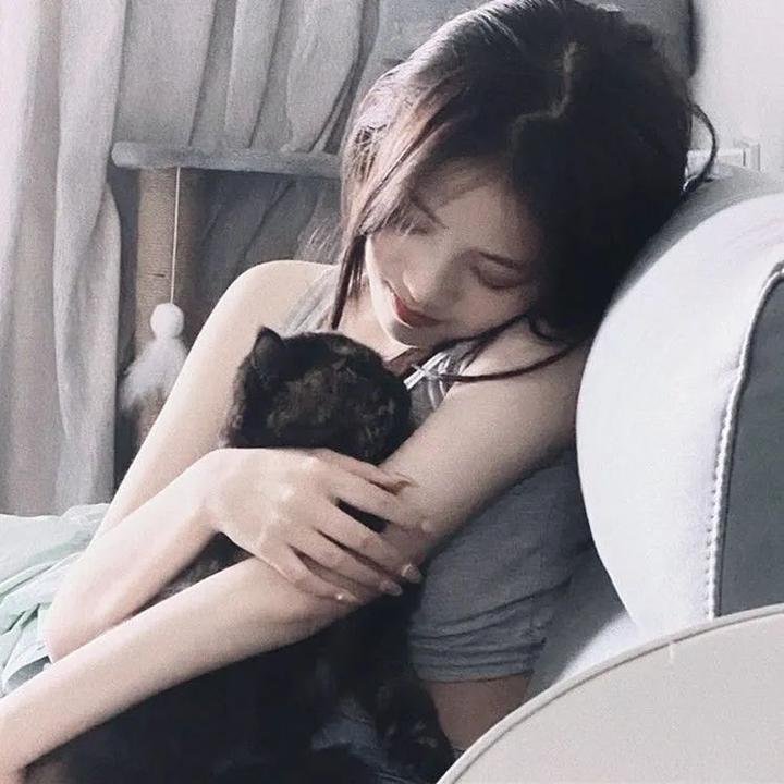 菜菜子解体诊书